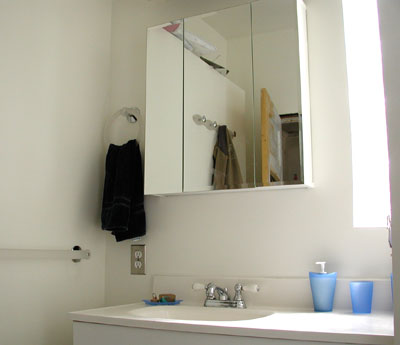 Remodeled shower with glass block