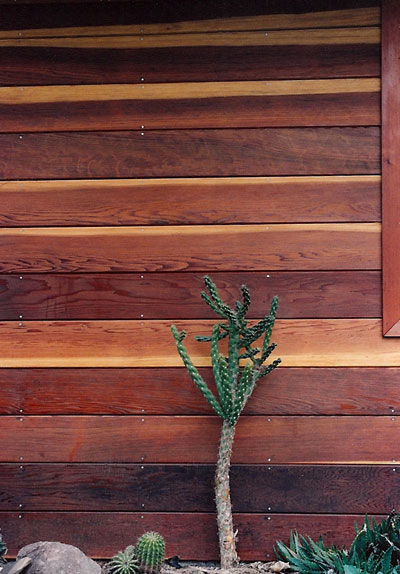 Succulent garden re-established outside the workshop